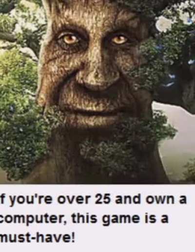 moldy tree