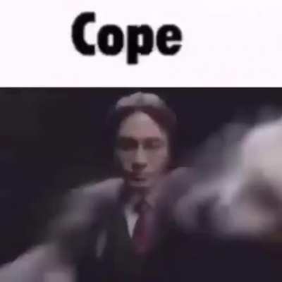 Chat whenever xqc tries to say literally anything.