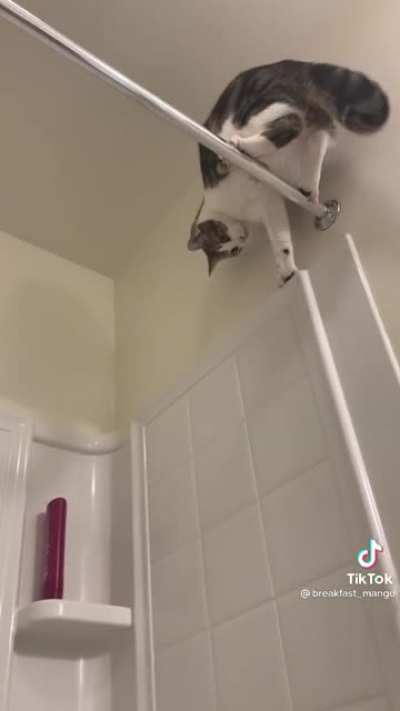 no peeing in peace