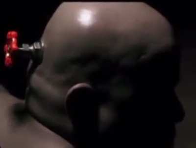 Head