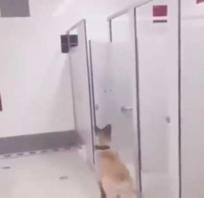 Занято!