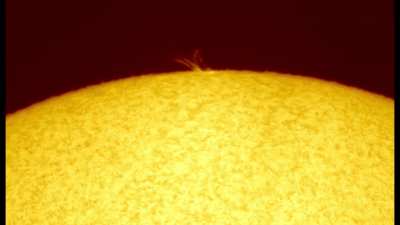 Surge Prominence on our Sun 4 November 2021