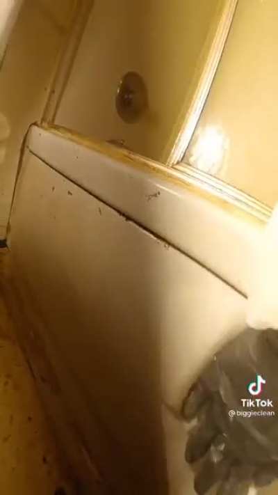 Removing years of smoker’s buildup with steam and chemicals.