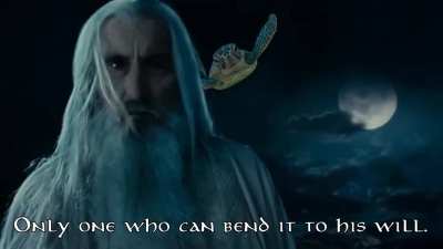 So you have chosen sea turtles.