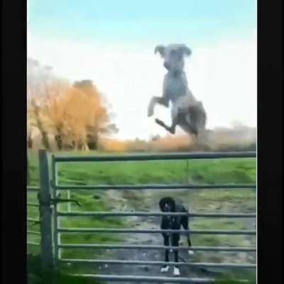 wow.. thats a really high jump lol
