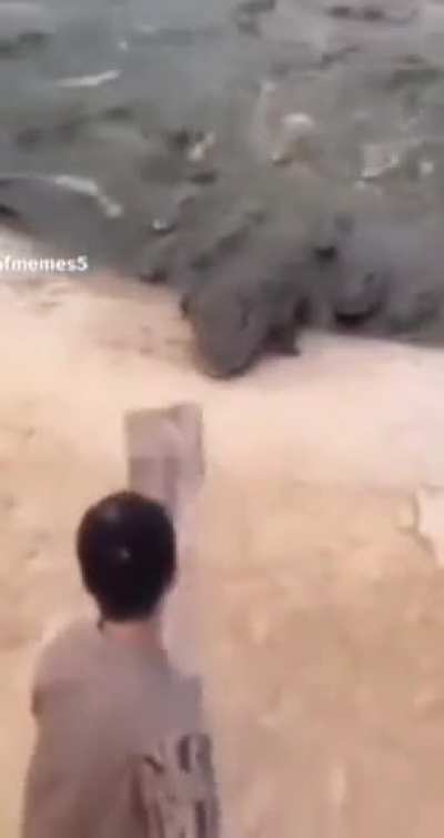Croc bonk
