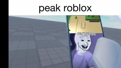 "Peak roblox" (credits to: Geboo on yt)