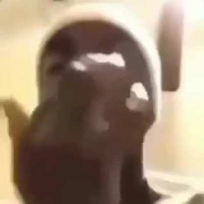 cock