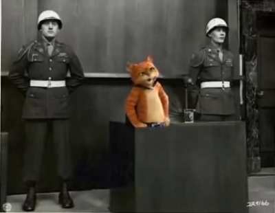 Bro thinks he himmler