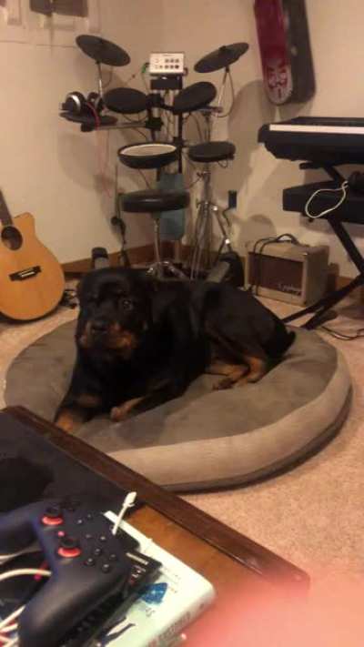 This is Bonnie. She is majestic.