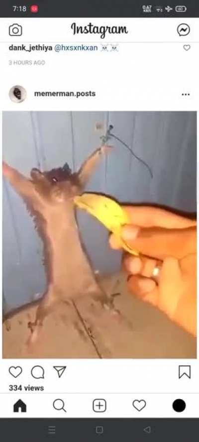 Poor little guy