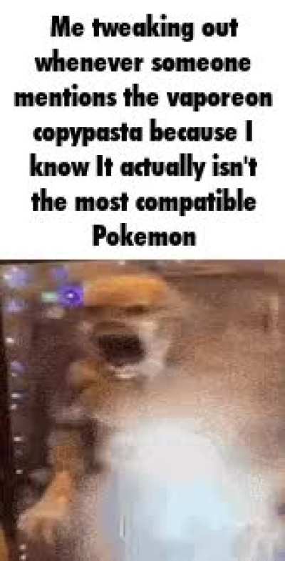 It was all a lie
