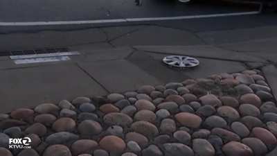 Fox News reporter narrowly avoids car collision on duty