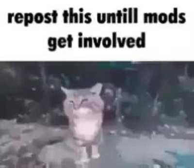 Title