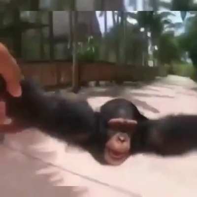 UwU