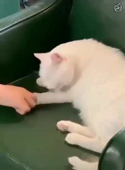 She almost lost an arm