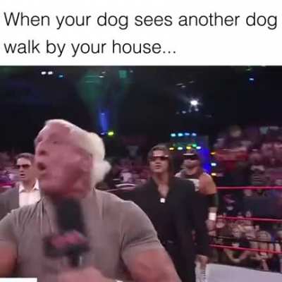 me_irl