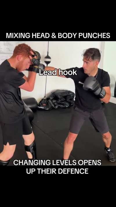 Set up: Head &amp;amp; Body combo