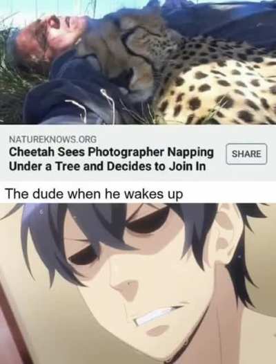 *Sweats profusely*