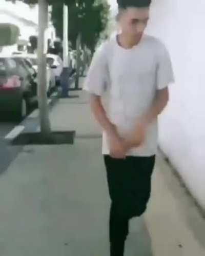 Petting a random dog