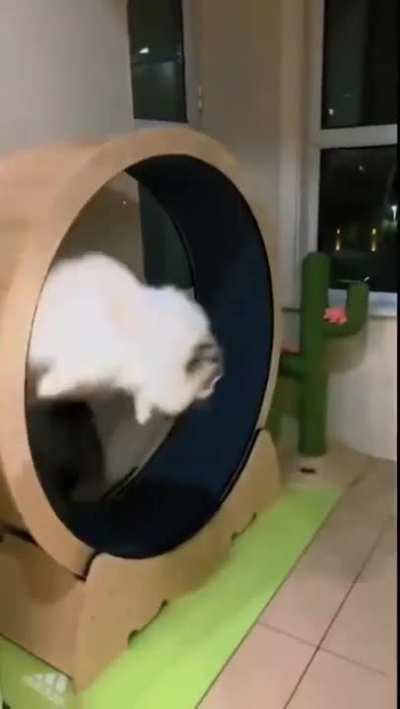 Wee...