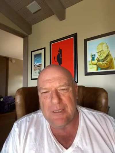 Hank Schrader (Dean Norris) saying "sussy baka."