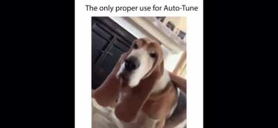 Give us some bars homie