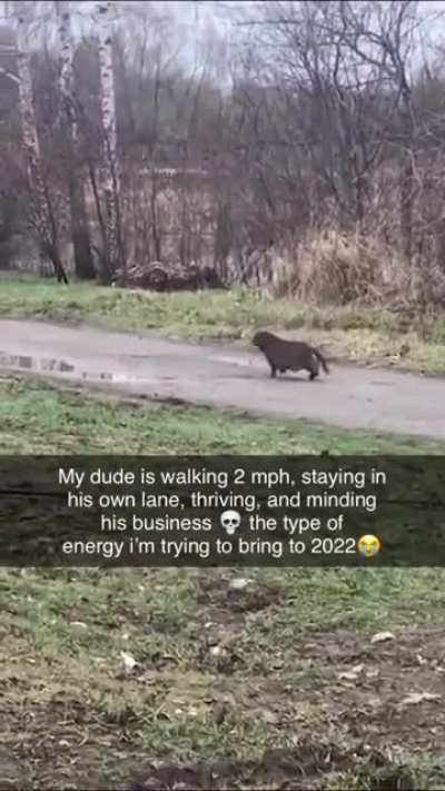 He&rsquo;s going the distance