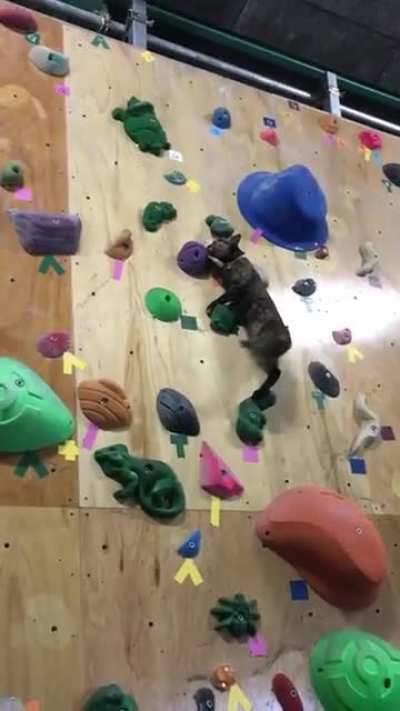 Very intense catculations