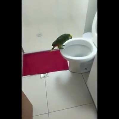 She likes singing in the bathroom