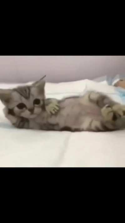 cate posing