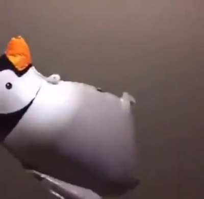 🐧
