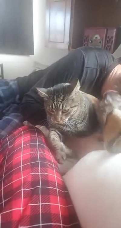 Never going to trust cuddles again