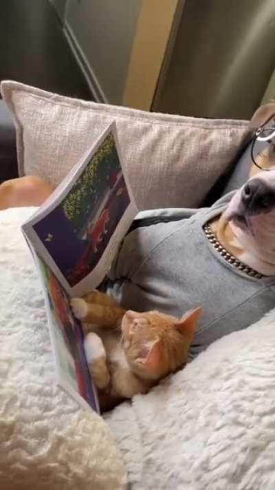 Bedtime story
