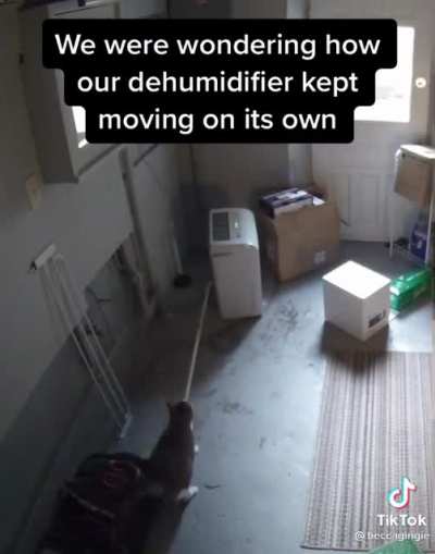 F*ck this dehumidifier in particular.