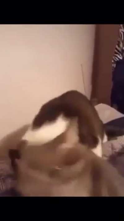 e e e e AAAAAAAAAAA