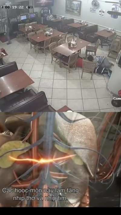 Educational content 