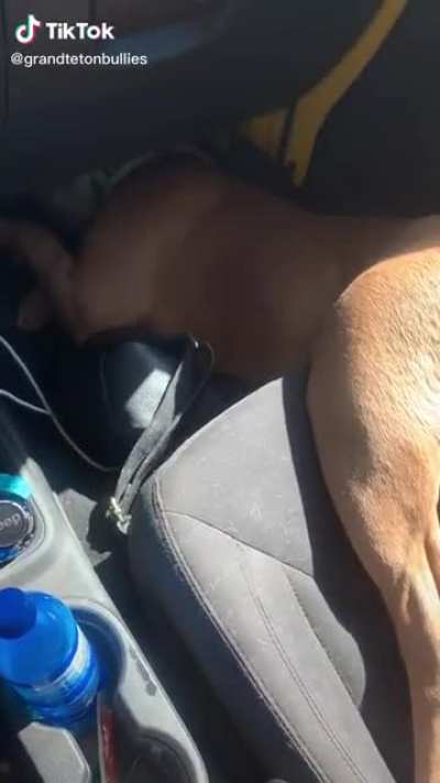 Help me step owner I&rsquo;m stuck.