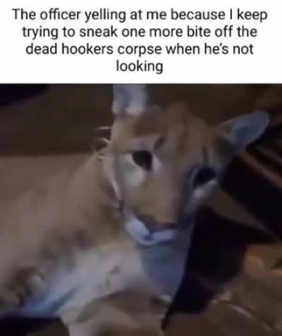 rule