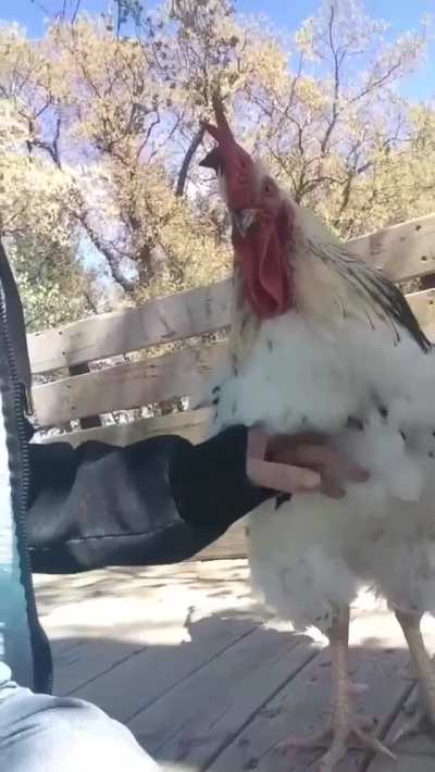 "Excuse me? Did I say you were done?"