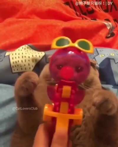Too much catnip