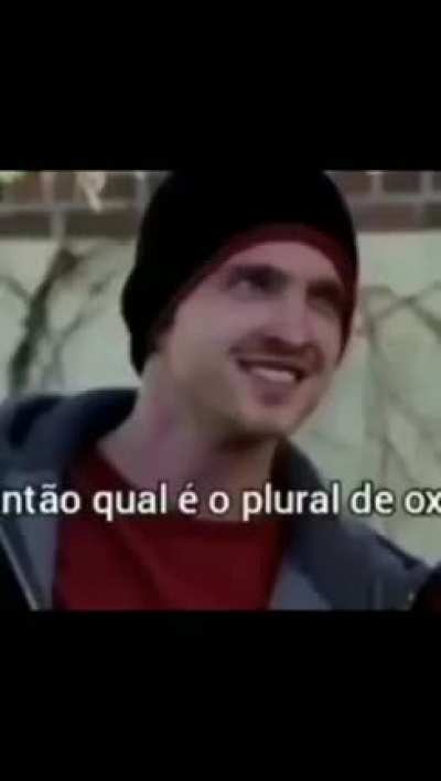 Oxes