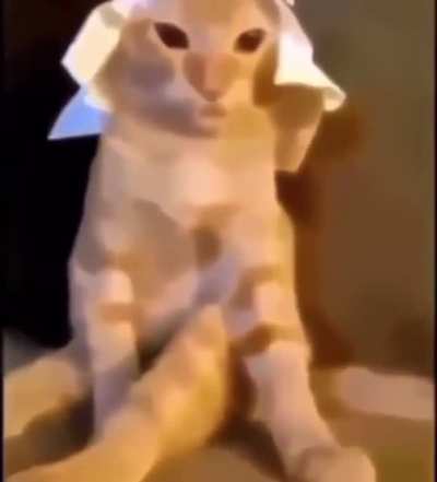 I don&rsquo;t think I have words for this right now