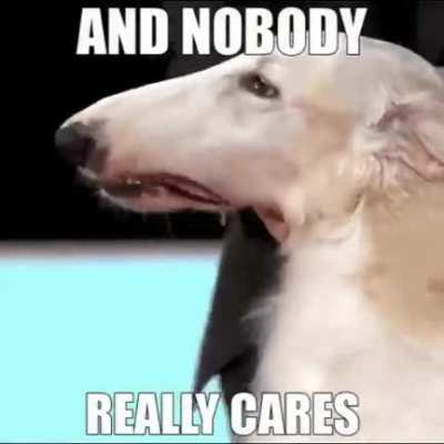 to the trollers