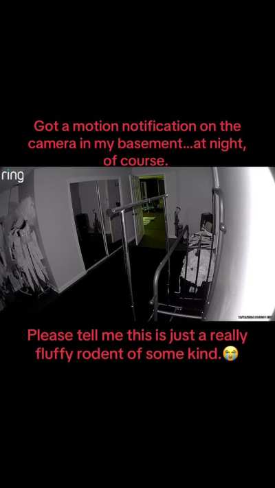 Ring Camera in basement keeps detecting motion&hellip;