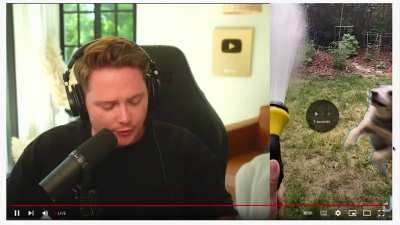 Watching stream be like