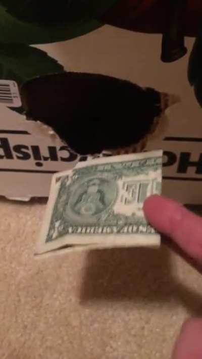 This worthless vending machine ate my dollar and didn&rsquo;t give me anything, I need to speak with a manager please