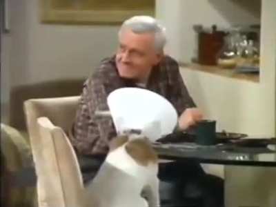 "I didn't realize it was too much to ask that there not be GUNPLAY in my living room!"