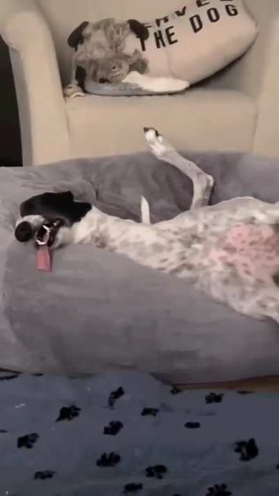 I guess this is somehow comfortable