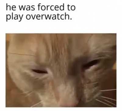 :(